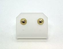 Oorbellen gediamanteerd