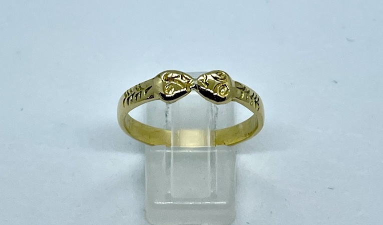 ring-slangen