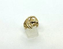 Ring hoefijzer paard