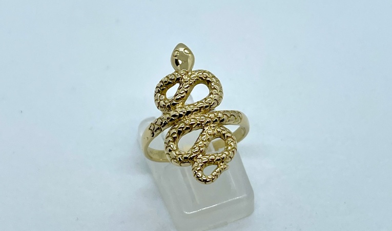 ring-slang