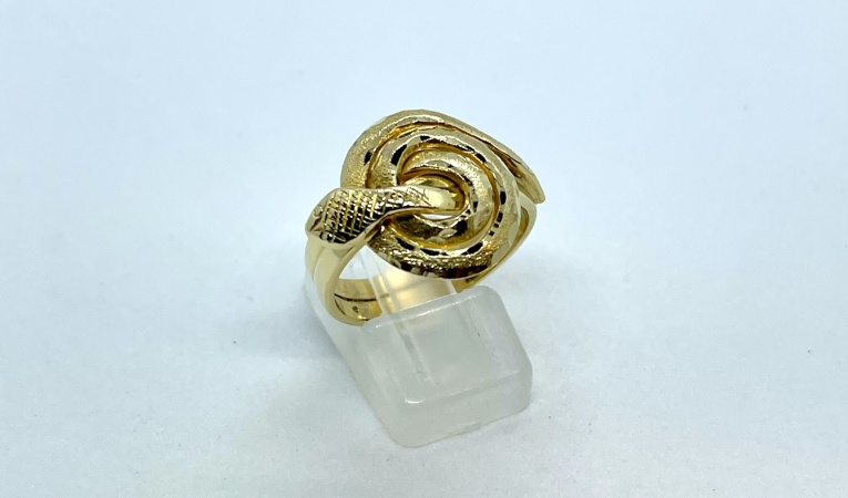 ring-slang