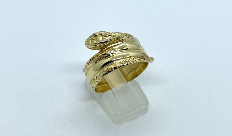 ring-slang