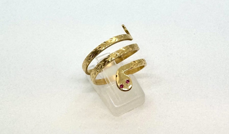 ring-slang