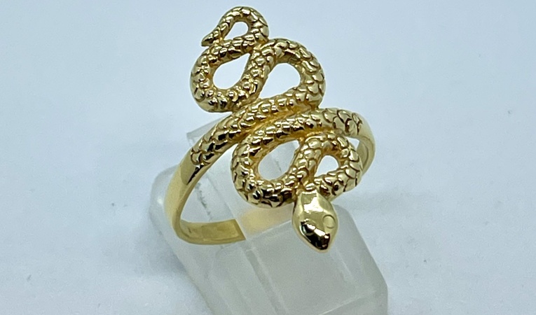 ring-slang