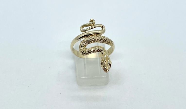 ring-slang