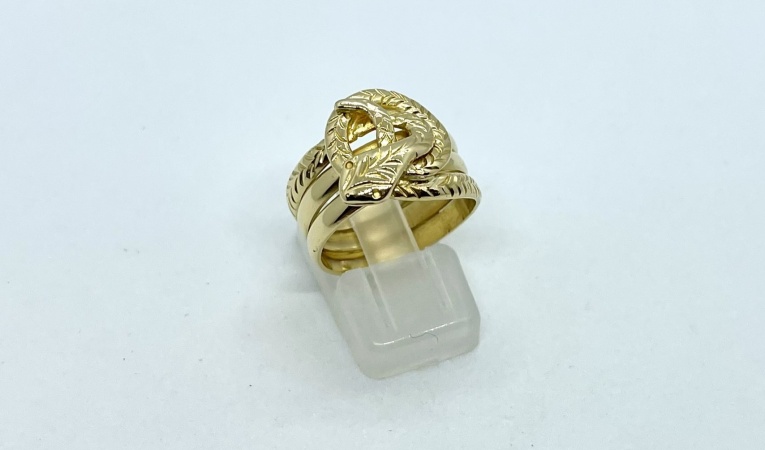ring-slang