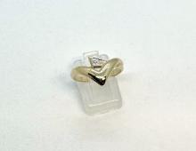 Ring V-model