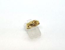 Ring vriendschaps